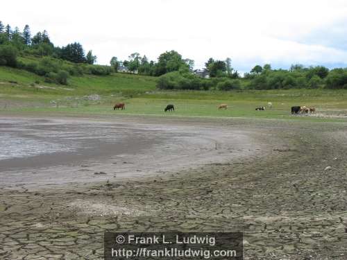 Lough Nasool Drained (2006)